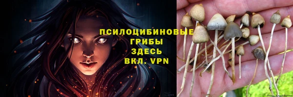 СК Липки