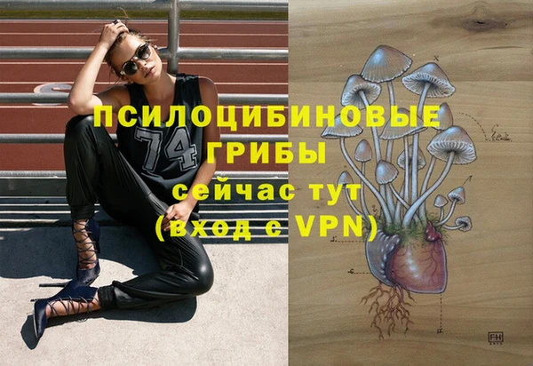 прущая мука Лиски