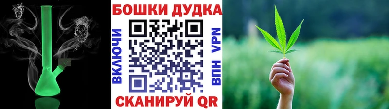 Бошки Шишки сатива  Елизаветинская 
